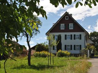 Ferienhaus Nordschwarzwald - Neuweiler - 0