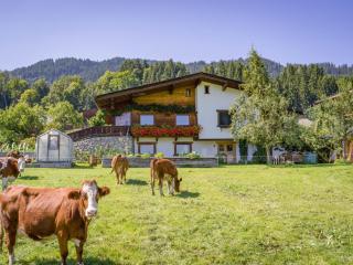Appartement Salvenblick - Hopfgarten im Brixental - 9