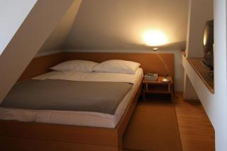 Apartments Villa Boltez - Kranj - 7