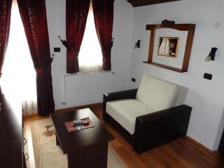 Hotel Manastir Berovo - Berovo - 6