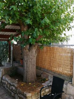 Apartments Elena & Damir - Vis - 5