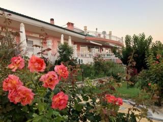 Hotel Villa Sevasti - Katerini - 3