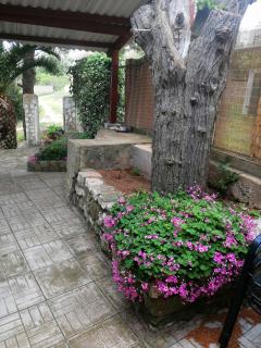 Apartments Elena & Damir - Vis - 4