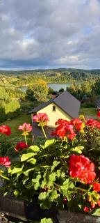 Arkadia Dom nad Jeziorem Solińskim - 9