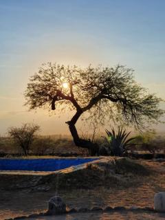 Hotel Texas - Cafayate - 4