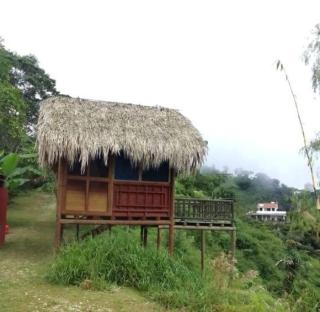 Miradores Del Oso Perezoso - Minca - 5