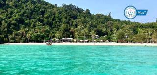 Thanya Beach Resort - SHA Plus - Ko Ngai - 4