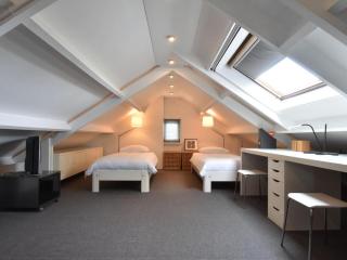 Riverside holiday home near Amsterdam - 1