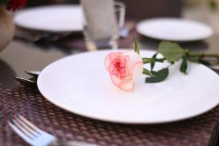 Surya Haveli , Amer Fort Jaipur - Jaipur - 4