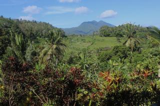 Pondok Lembah Dukuh Homestay - 3