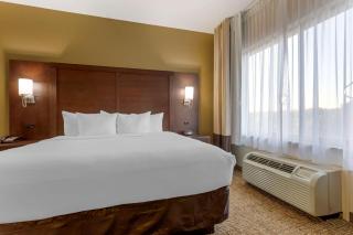 Comfort Suites Little Rock West - Little Rock - 4