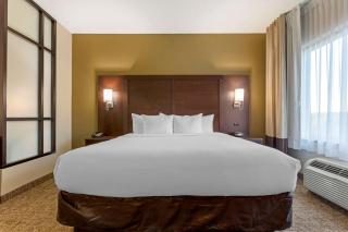Comfort Suites Little Rock West - Little Rock - 3
