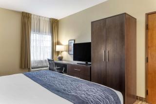Comfort Inn St Robert-Fort Leonard Wood - Saint Robert - 3