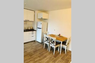 Apartment in Paris Suburb, 15 minutes to center. - Le Blanc-Mesnil - 5