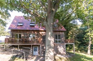 Landhaus DADDELDU Whg. V-D1 (vorne) - Ahrenshoop - 0