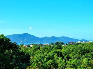 Appartement spacieux à Fort-de-France - Vue jardin 85 m² - Fort-de-France - 9