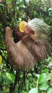 Casa para vacacionar Family - 4