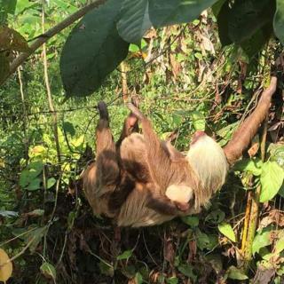 Casa para vacacionar Family - 5