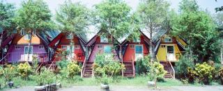 Kitefarm - Dongshan - 6