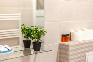 Sunny Studio Apartment - Iaşi - 2