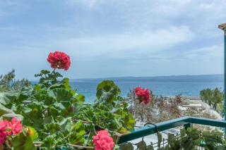 Apartments Porto Duce - 0