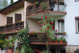 Ferienhaus Michor - 9