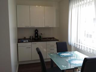 HD City Apartments - Heidelberg - 3