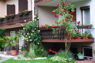Ferienhaus Michor - 7