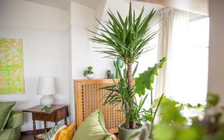 Skyline - Un Attico da Sogno - 3