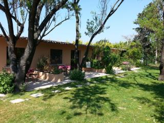 Mas la Provence - LʼIsle-sur-la-Sorgue - 4