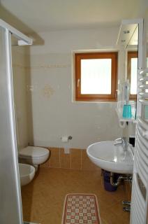 Hotel Ciamol - Mazzin - 6