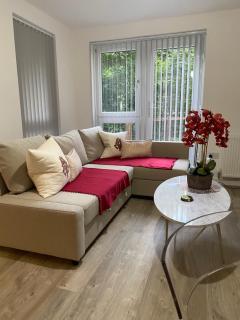 Water Walk Apartment - Edinburgh - 8