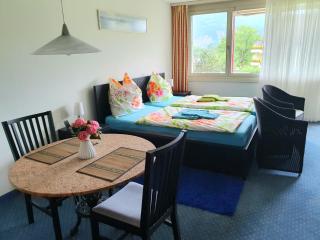 priv. Apartment bei Swiss Holiday Park - Morschach - 6