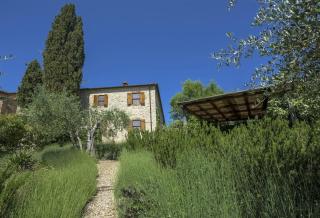 La Vigna - Gaiole in Chianti - 8