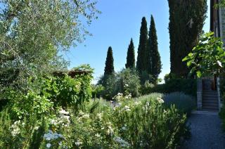 La Vigna - Gaiole in Chianti - 4