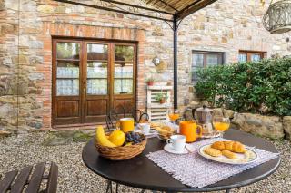 Ulivo - Radda in Chianti - 9