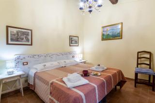Uva - Radda in Chianti - 2