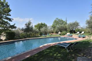 Scorpione - Gaiole in Chianti - 6