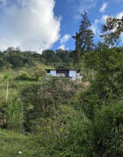 Arte de Plumas birding lodge - Cartago - 5