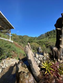 Arte de Plumas birding lodge - Cartago - 4