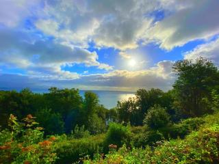 Rooms At Babbacombe - 2