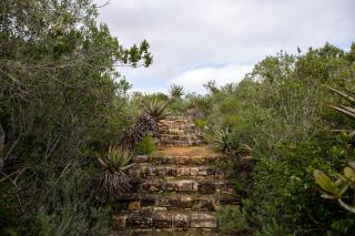Muffets at Kransfontein Estate - Stilbaai - 1
