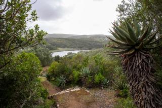 Milkwood at Kransfontein Estate - Stilbaai - 1