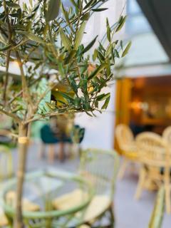 Hotel Europole - Grenoble - 6