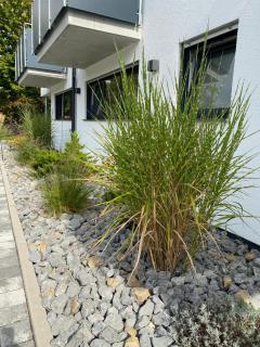 Rainer Appartements - Besigheim - 2