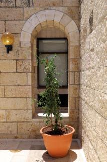 New Gate Hostel - Jerusalem - 5