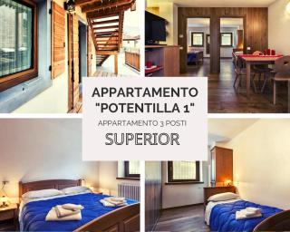 Albergo Diffuso Sutrio Zoncolan - Sùtrio - 5