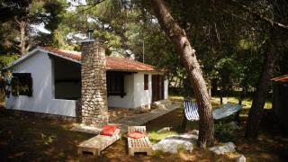 Holiday Home Pine Villa - Pakoštane - 0