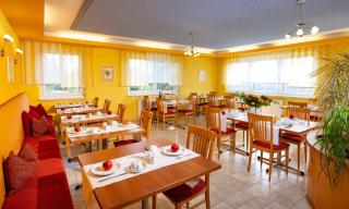 Golf & Thermenland Sonnenpension Frühstückshotel Burgauberg Stegersbach - Stegersbach - 7