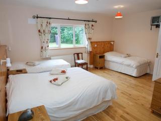 Dun Cromain B&B - Banagher - 9